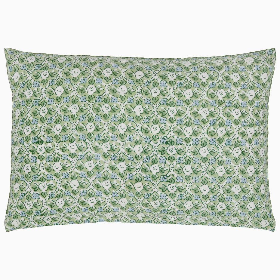 Ankur Kidney Pillow